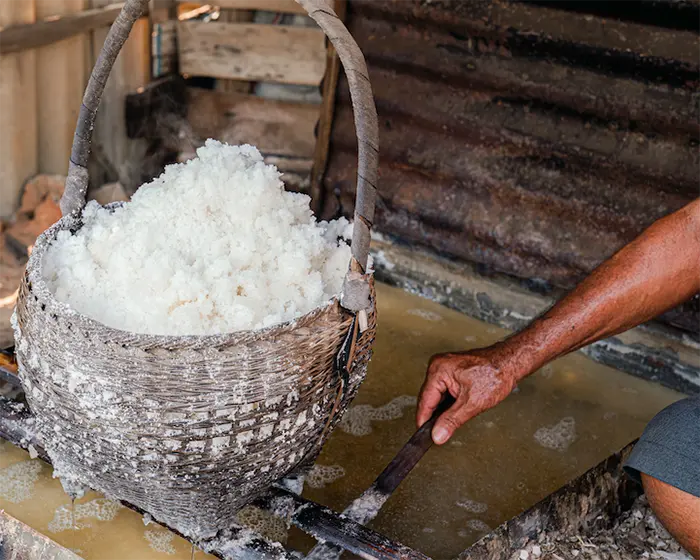 Mineral salt being lifted from brine during inland salt production