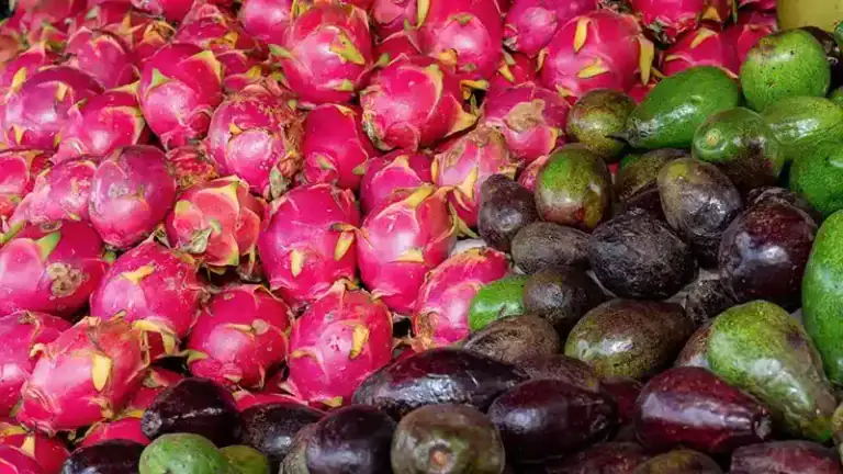 Bangkok fruit stand with dragon fruit and tropical fruit for a salt on fruit guide