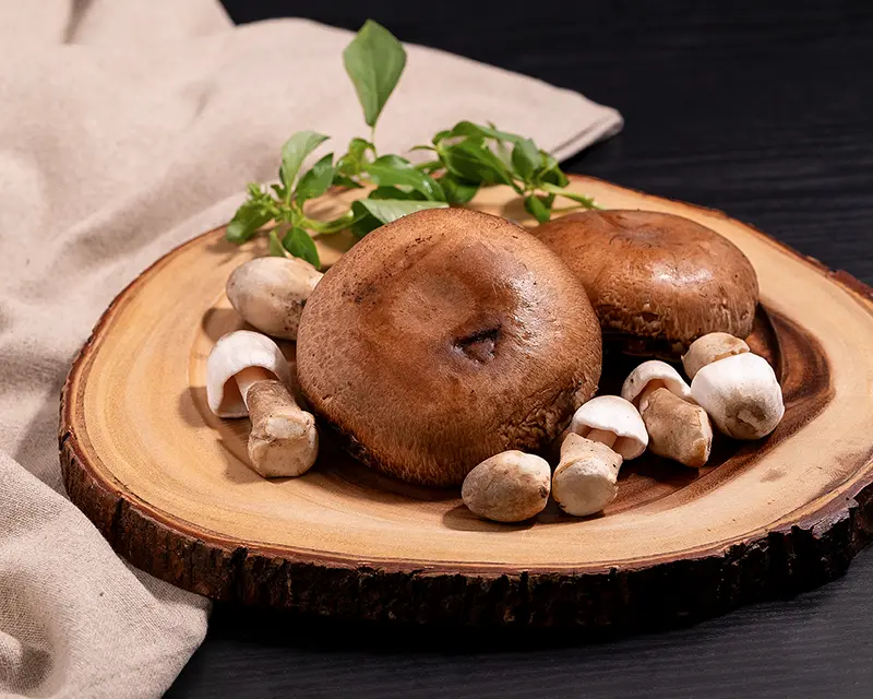 Different raw mushrooms for when to salt mushrooms
